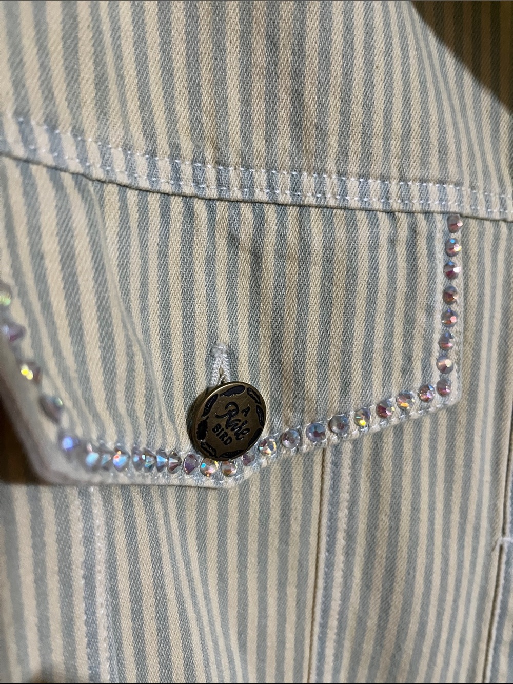 Rare Bird Striped Blue Jean Jacket with Lace Trim - Picture 4 of 7